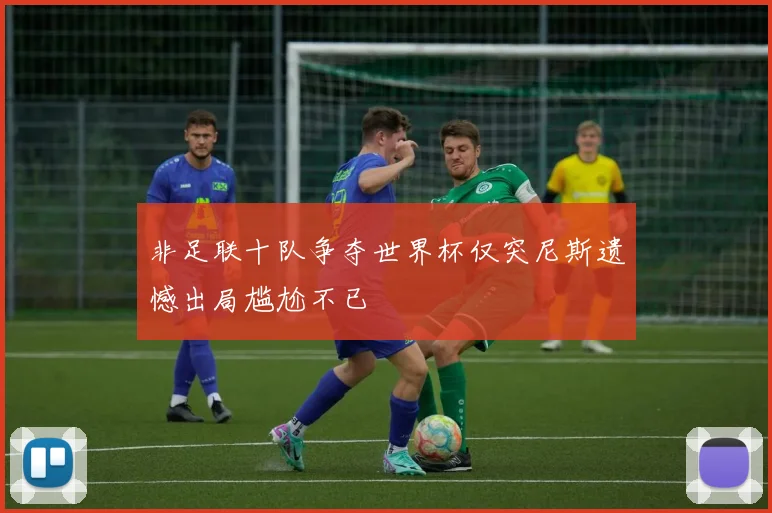 非足联十队争夺世界杯仅突尼斯遗憾出局尴尬不已
